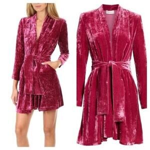 ALC Pink Crushed Velvet Mini Dress